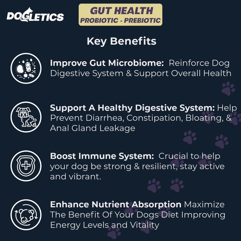 Gut Health Probiotic & Prebiotic - 90ct Support Stomach Microbiome, Preprečevanje prebavnih težav, zmanjšanje analnih glandnih vprašanj, izboljšanje imunske funkcije in splošno energijo