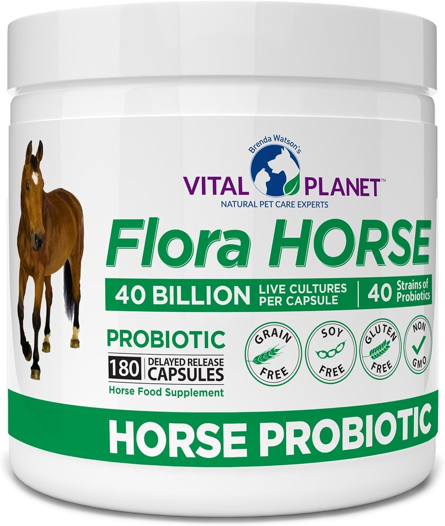 Vital Planet - Probiotik za konje Flora, Probiotiki za konje visoke moči Equine s prebiotiki, 40 milijard živih CFU iz več sevov, prebavna in imunske podpore, 180 zapoznelih release kapsule (180 dni)