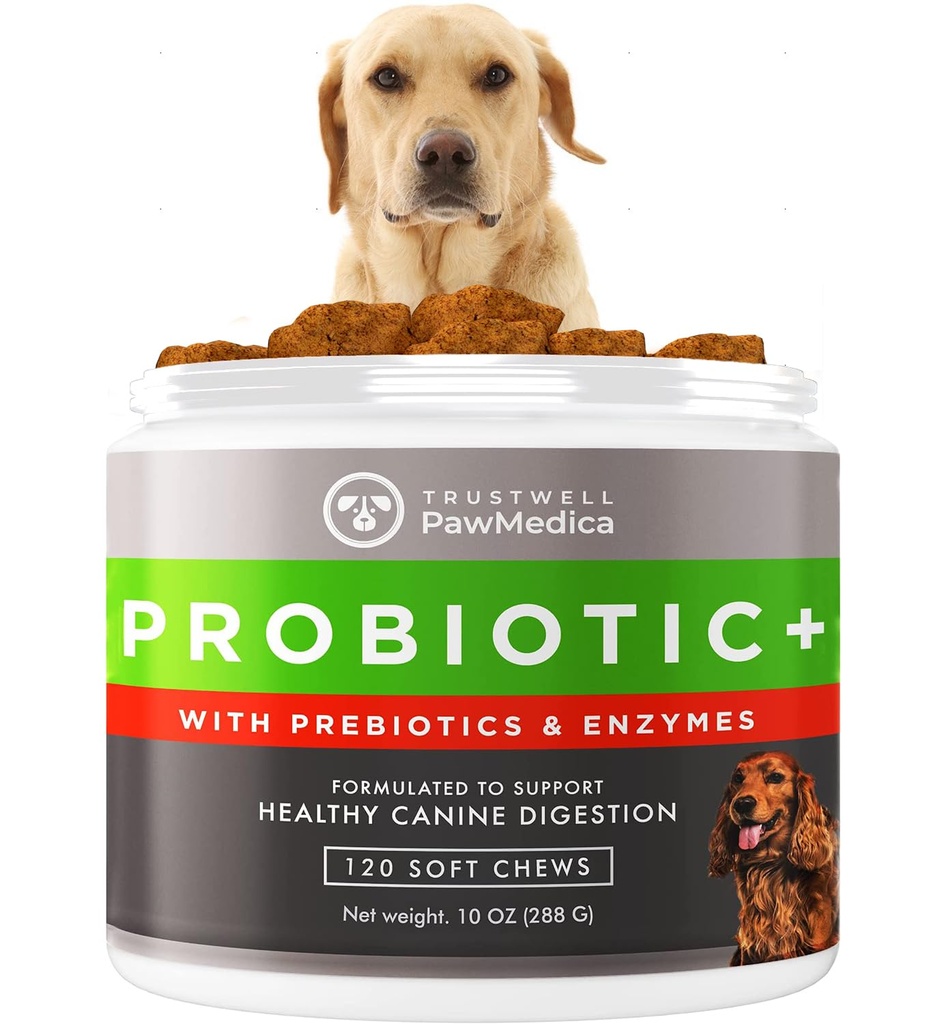 PawMedica Dog Probiotiki in prebavne encime, Probiotiki za pse Made in ZDA, Pet Probiotic Chews for Psi, Prebiotics & Probiotic Dog Digestive Podpora, Probiotic Treats - 120 Pes Probiotic Chews