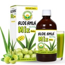 Basic Ayurveda Gooseberry + Aloe Vera Juice – 16.23 Fl Oz (480ml) 
