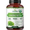 Zazzee USDA Ekološka kopriva za žetev 20:1 Ekstrakt, 9000 mg Jakost, 120 Veganskih kapsul, zaloga 4 mesecev, koncentrirano, standardiziran 20X ekstrakt, Certified Organic, 100% vegetarijansko, vse naravno, ne-GMO