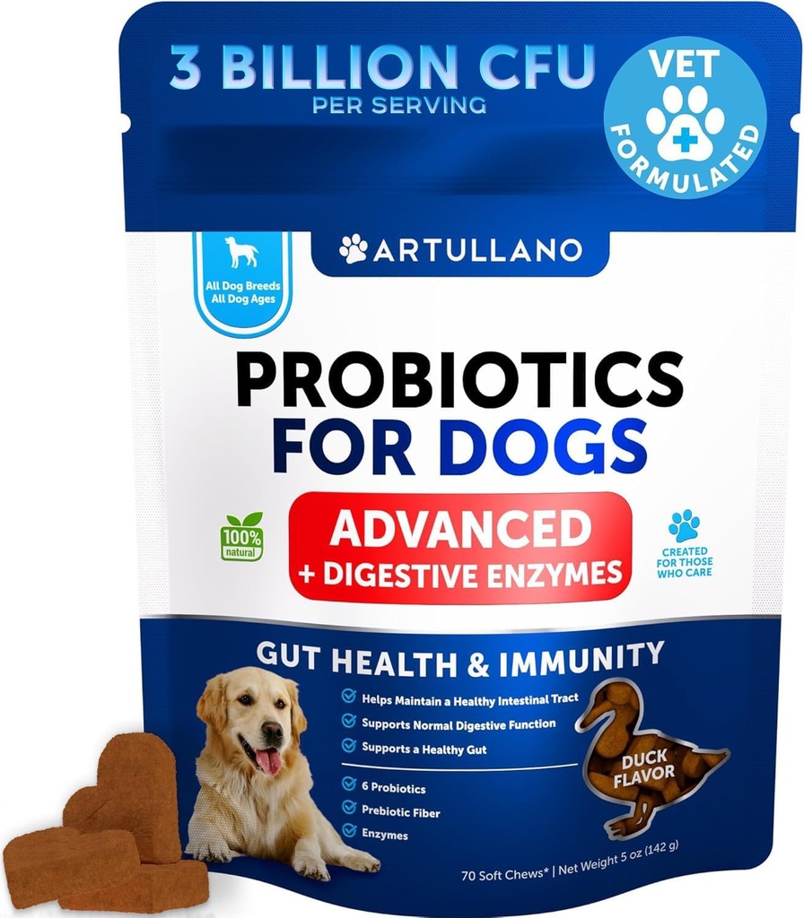 Probiotiki za pse - podpora Gut Zdravje, Srbeča koža, Alergije, Imuniteta, Yeast Balance - Probiotiki za pse in pregestivnih encimov s prebiotiki - zmanjšanje diareje, plin - 70 Probiotični žveči za pse