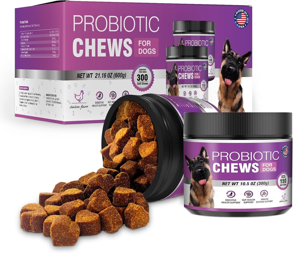 Probiotiki za pse Probiotične žveči in pregestivne encime Prebiotične Health Gut Srbeče kože Probiotiki Srbenje Driske Chew Dodatki Pasje hišne Prebiotike 200 Naravne mehke žvečljive tablete
