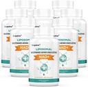 Orgabay Liposomal NAD+ Dodatek 500 mg, visoka absorpcija, povečanje NAD+ s TMG 250 mg, dejanska NAD Plus bolj učinkovito kot nikotinamid ribozid, podpora celična energija, zdravo staranje 