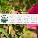 Organski Ashwagandha prašek, Ne-GMO, Fair-Trade, Vegan, Gluten prost, Sam izvor, Rastli v Oregon Adaptogeni ajurvedski zeliščni dodatek v Reseable Jar