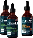 E2H: Klorofil tekoče kapljice (2 pakiranji - 4 Fl Oz) in tekoči kurkumin (ena steklenica - 2 Fl Oz) 