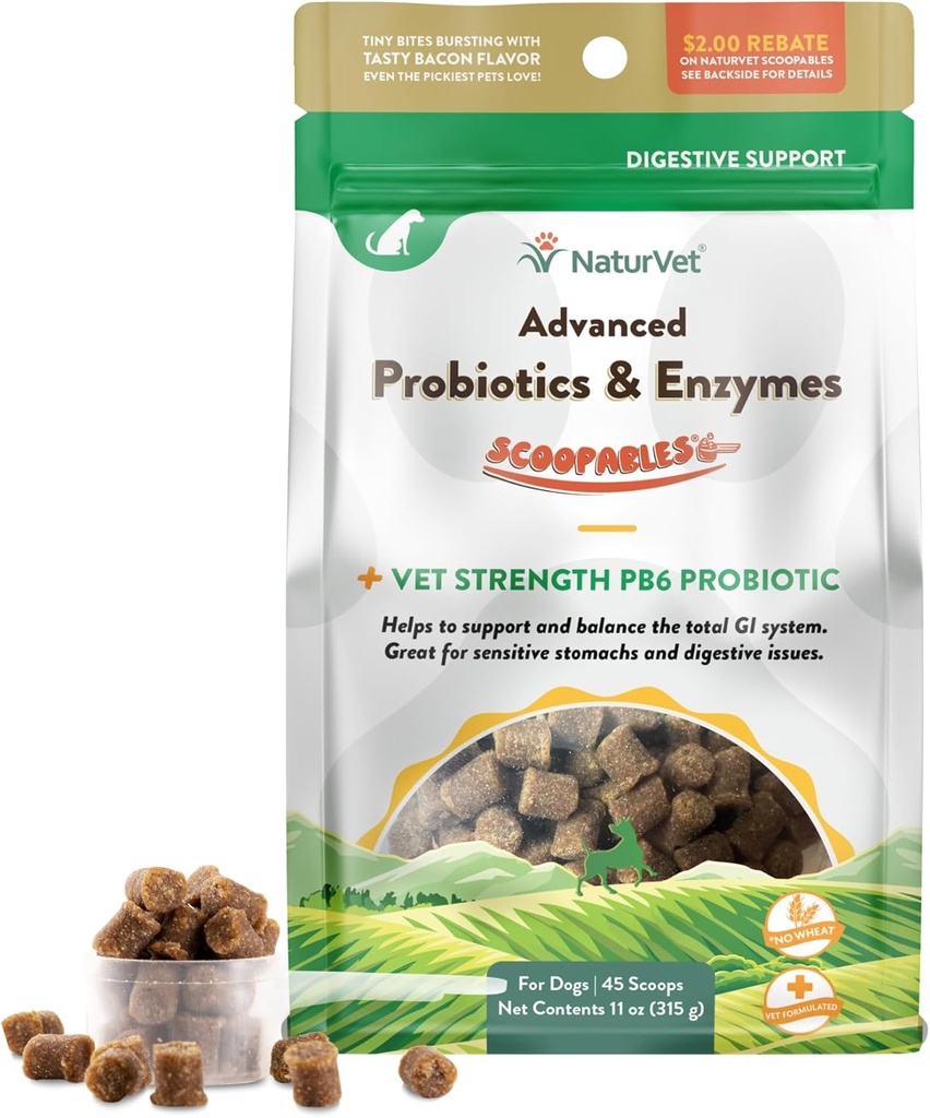 NaturVet Scoopables Napredni probiotiki za pse - žvečljivi pes probiotiki in prebavne encime - Podpora zdravo drobovje za vaš hišni ljubljenček - Hickory dimljen slanine aroma 