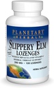 Planetarna zelišča Podlipnik Elm Lozenges, 100 štev.