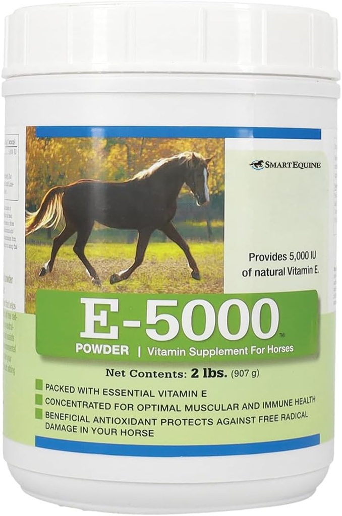 E50000 Prašek 