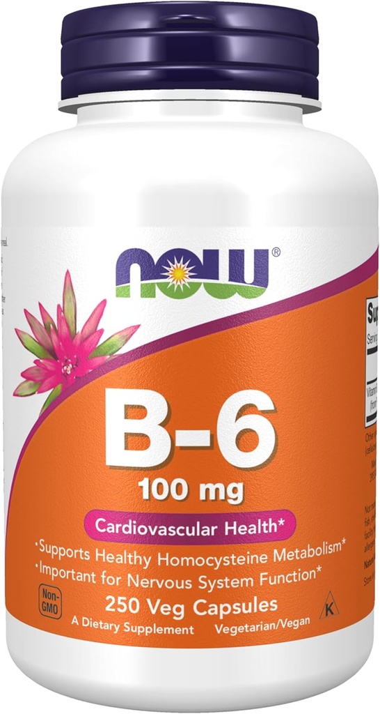 NOW Foods Supplements, Vitamin B-6 (Piridoksin HCl) 100 mg, kardiovaskularno zdravje, 250 Veg kapsule