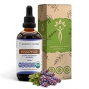 Skrivnosti Tribe Bugleweed Tinkture brez alkohola tekoči ekstrakt, USDA organski Bugleweed (Lycopus Virginicus) Suhi Herb (4 FL OZ)