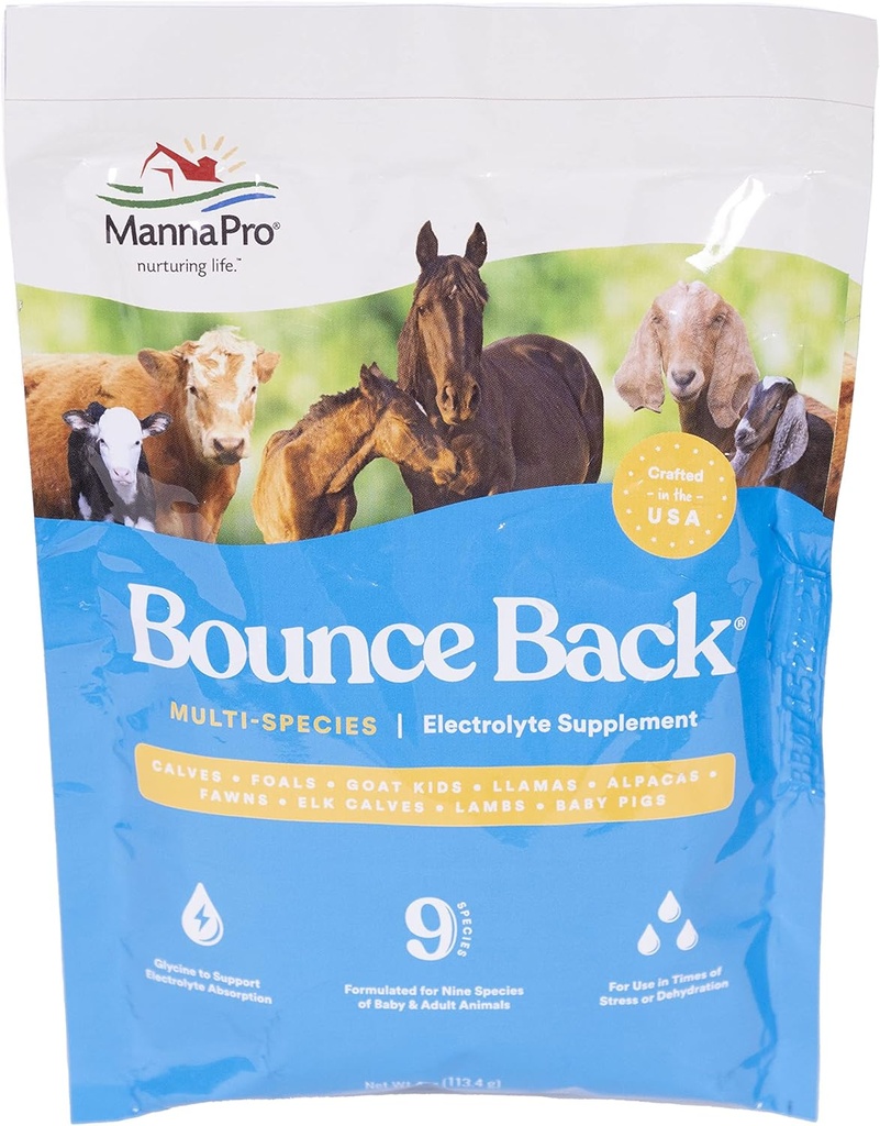 Manna Pro Bounce nazaj, 4 oz