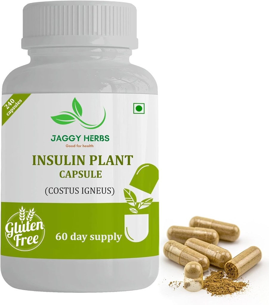Generične JAGGY Premium insulinske rastlinske kapsule (Costus Igneus) Naravni dodatek 240 Veggie kapsule (60 dnevna oskrba) Insulinska rastlina