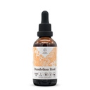 Dandelion Root Alkohol-free Natural Tinkture Extract, Imunski sistem Booster, Tekoče kapljice Iz 100% Dandelion (Taraxacum officinale) Suhi koren (2 fl oz)