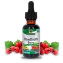 Naravoslovni odgovor Hawthorn Berries 