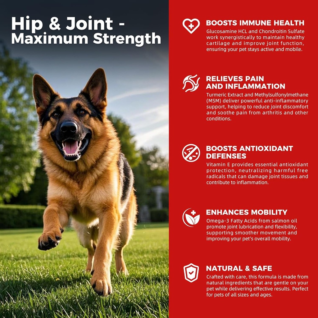 Dog Hip in skupni dodatek - Pasja bolečina Relief proti vnetju z glukozaminom, Chondroitin, MSM, Kurkuma, Vitamin E, Omega 3 - Zdravljenja Hip Displazija, Artritis - Vse velike majhne srednje pasme