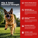 Dog Hip in skupni dodatek - Pasja bolečina Relief proti vnetju z glukozaminom, Chondroitin, MSM, Kurkuma, Vitamin E, Omega 3 - Zdravljenja Hip Displazija, Artritis - Vse velike majhne srednje pasme