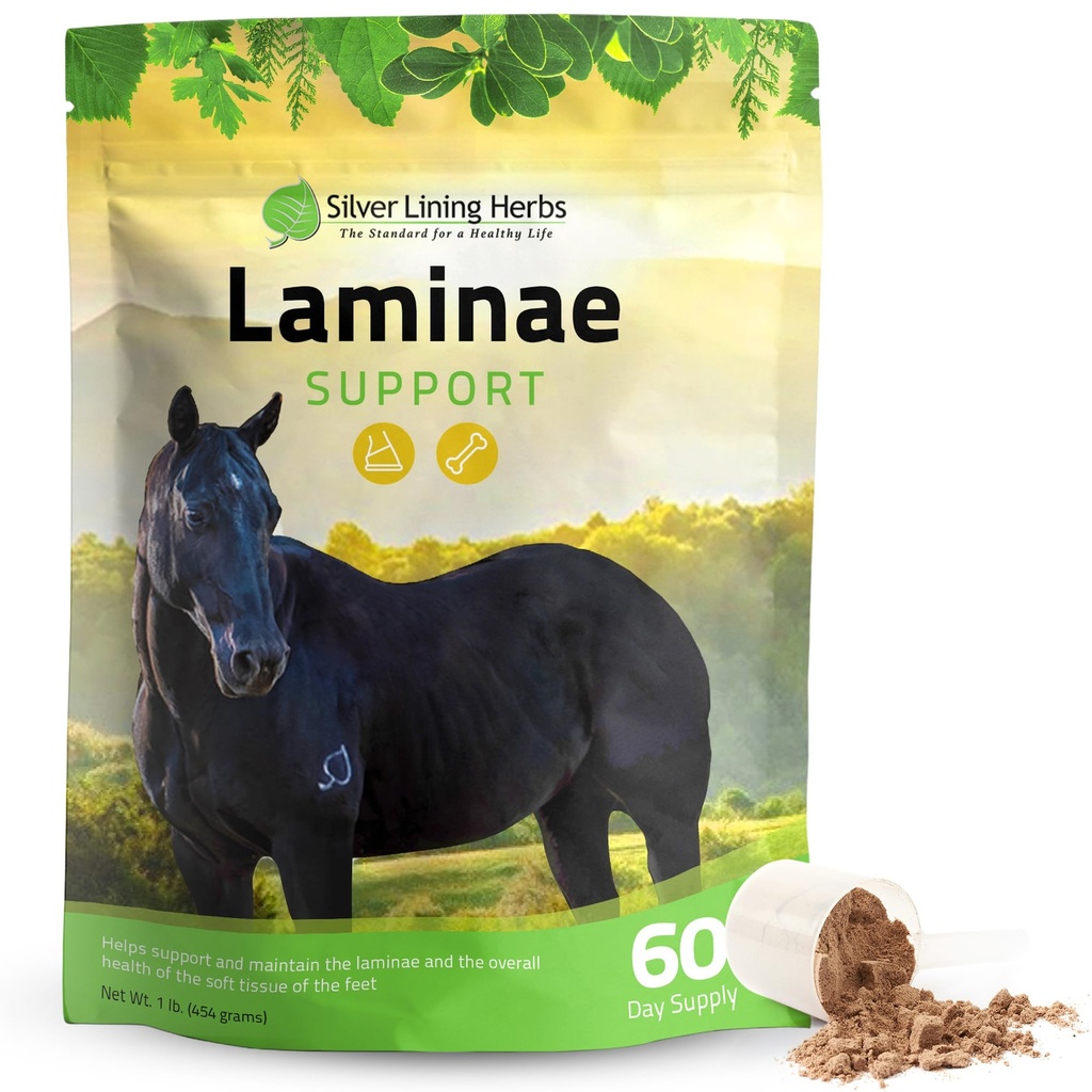 Silver Lining Herbs Laminae Podpora konji dodatki Laminitis & Ustanovitelj podpora za konje - Podpora mobilnosti, boleče noge, mehko stopalo tkiva & boljši plašč - Zeliščni Hoof dodatki za konje - 1 LB