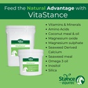 Stance Equitec VitaStance Vitamin, Mineralna in aminokislina dodatek za konje, 28,5 lb