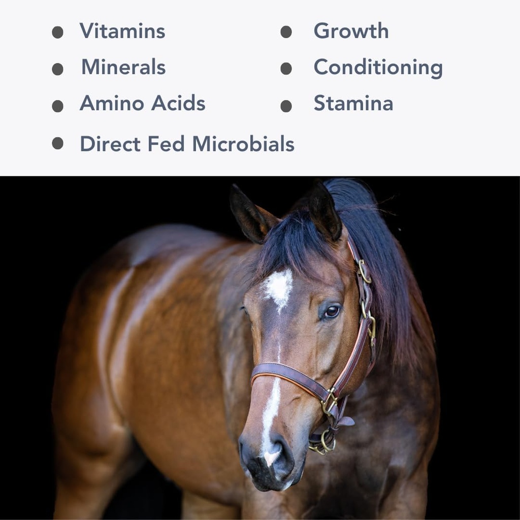 Mega-Mag (25lb) Uravnotežen multi vitamin/Mineral dodatek za Alfalfa Hay diet