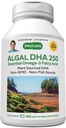 ANDREW LESSMAN Algal DHA 250mg 360 Softgels - Rastlinsko-na osnovi Omega-3 olja, Naravne morske alge, Visoka DHA, Non-GMO, Visoka moč, Brez želodčne upset, Brez ribjega pookusa. Majhen lahek za pogoltniti