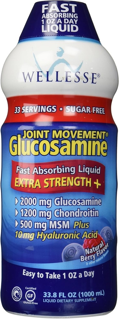 Wellesse skupno gibanje glukozamin s Chondroitin & Msm 33.8 fl oz (1000 ml)