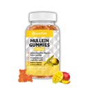 Mullein Gummies, 2000mg Organic Mullein Leaf Extract s Quercetin, Bromelain & Vitamin D3, Mullein Leaf Extract za dihala, naravno čiščenje pljuč, izboljšanje apetita, Vegan, Non-GMO, 1 Pack