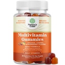 Močni daily multivitaminski žvečilni gumiji za odrasle - Wellness mešanica vitamina D A C E B12 Cink in biotin - Adult Vitamin Gummy za energijo in imuniteto - Ne-GMO Gluten Prosti in Halal Gummies 30 Število