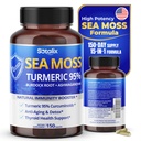 Sotalix Sea Moss Kapsula z Ashwagandha, Burdock Root, Bladderwrack, Kurkurja - Močan naravni Immunity Booster - ZDA Made (150 Count (Pack of 1))