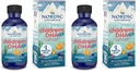 Nordic Naturals Children's DHA Xtra, Berry Punch - 2 oz za otroke - 880 mg Total Omega-3s with EPA & DHA - Kognitivne in imunske funkcije, učenje, socialni razvoj - Non-GMO - 48 Servings (Pack of 2)