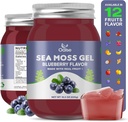 Sea Moss Gel - 18.5oz Blueberry Flavor Raw Nutritious Sea Moss Gel v mineralih, proteinih in vitaminih, Vegan-prijateljski, 2 Tablespoon dnevno