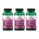 Swanson Green Lipped Mussel (Freeze-Dried) - Nova Zelandija Skupno zdravje in mobilnost dodatek - Naravna Formula lahko podpirajo zdravje srca in prebavne funkcije - (60 kapsule, 500mg vsak) (3 paket)