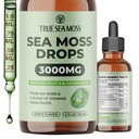 TrueSeaMoss 3000mg Irish Sea Moss kapljice z Burdock Root & Bladderwrack za prebavni sistem in podporo za obnovo mišic - 2 Fl Oz Apple NW1