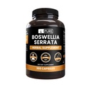 Čiste izvirne sestavine Boswellia Serrata (365 kapsul) Brez magnezija ali riževih polnil, vedno čista, laboratorij preverjen