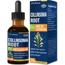 Collinsonia (Stone Root) Kapljice za zdravljenje urinarnega trakta, naravna zeliščna formula dodatek w/Stone Breaker Chanca Piedra Extract Podpora Ledvični kamni Dissolver & Detox Cleanse. 2oz