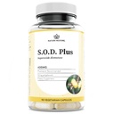 Narava Obnavljanje S.O.D. Superoksid dismutaza dodatek, 4.000 IU SOD- like Activity, Vegan, 90 Kapsule, Ne-GMO, Gluten Free