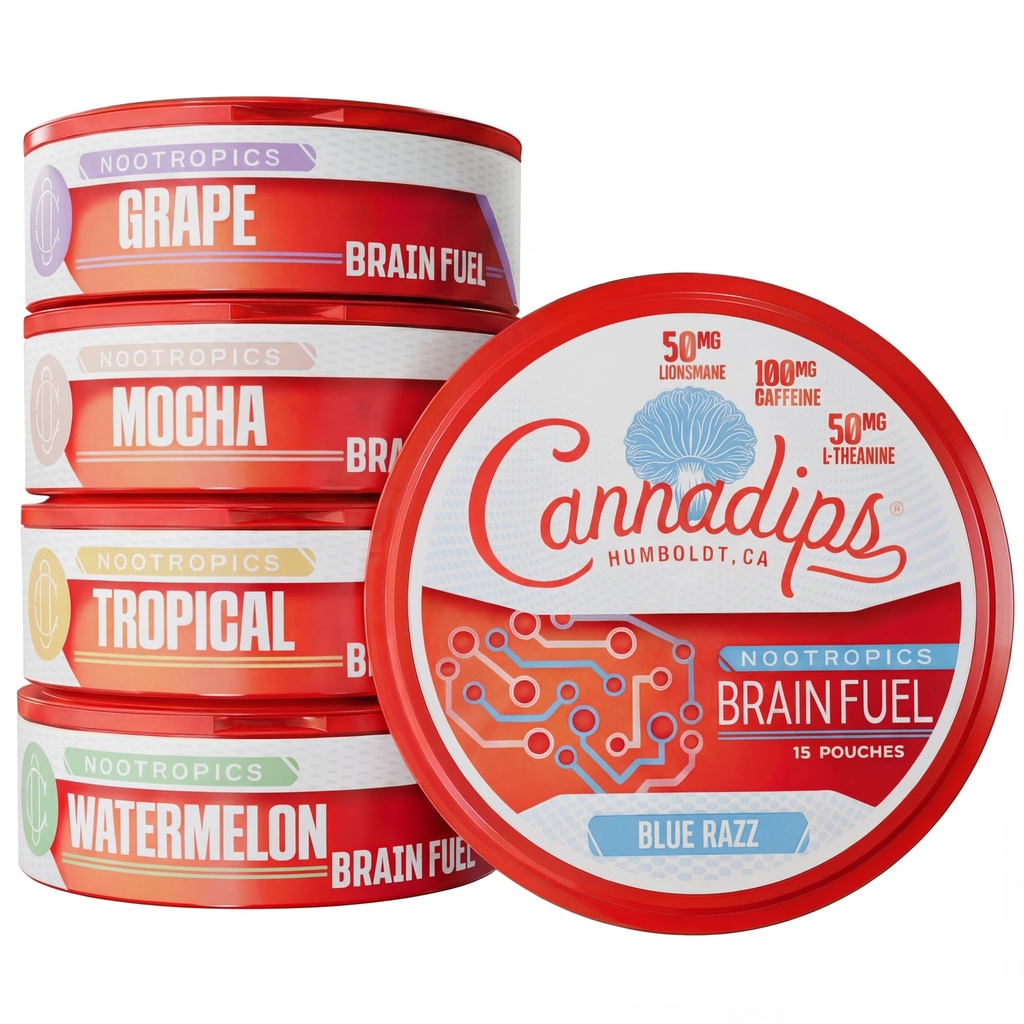 Cannadips - Brain Fuel Variety Pack - Nootropic Caffeine Pouches - 50mg Lion's Mane, 100mg Kofein, 50mg L-Theanine, No Sugar - Čista energija Možgansko gorivo za kognitivno zmogljivost, Izdelano v ZDA (5-PACK)
