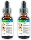 Morter Trace Minerals in Colloidal Suspension (2 paket) Morter HealthSystem Najboljši proces Alkaline — Nutrient Dens Trace Elements, Fulvic Minerals & Aminokisline