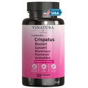 VINATURA Lactobacillus Rhamnosus, Reuteri, Gasseri, Plantarum, Crispatus, Acidophilus Probiotics - probiotiki za ženske *ZDA Made & Tested* Ženske vaginalno zdravje, črevo in prebavne motnje - 30 kapsul