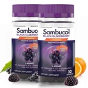 Sambucol Črna Bezgove jagode Gumies z vitaminom C & cink - Sambucus Bezgove jagode Gumies za imuno podporo, Visoki antioksidanti, Gluten Free, Vegan, Bezgove jagode z cinkom in vitamin C - 30 Count, 2 Pack