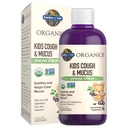Vrt življenja Organics Elderberry & Cink za otroško imuno podporo, Otroci kašelj & sluz Imunski sirup z Ivy Leaf, Vitamin C in Echinacea za otroke, Alkohol brez dodanih sladkorjev, 3,92 fl oz