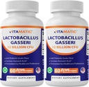 Vitamat Lactobacillus Gasseri - 12 milijard na DR kapsulo - 60 Count - Prebavna podpora - Izdelano s prebiotičnim Inulin Fiber - 2 Pack