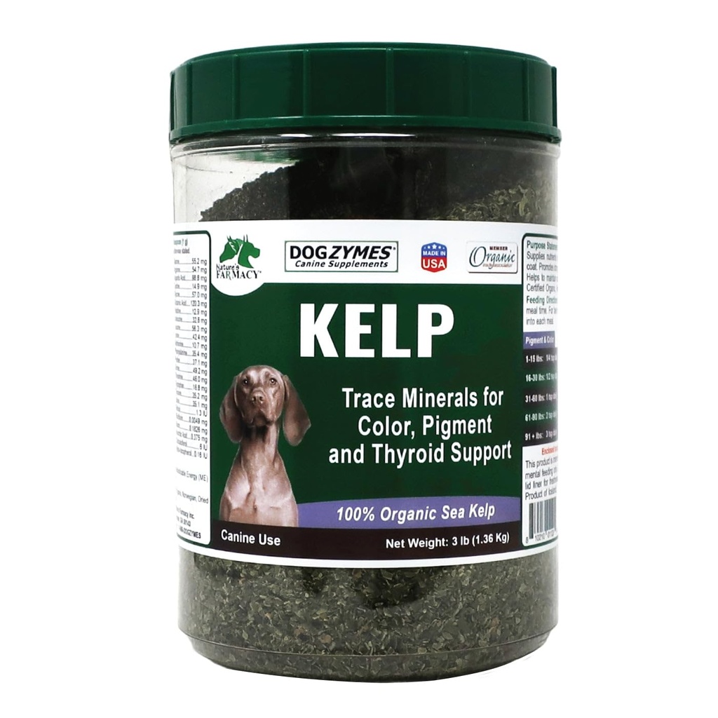 Dogzymes Organic Norvegian Kelp za hišne živali, dragocen vir prehrane, bogat v jodine za podporo Gland funkcijo, še posebej ščitnica (3 funt)
