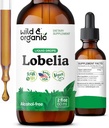 Divja in organska lobelija Tinktura - zeliščno čiščenje pljuč in razstrupljanje - Liquid Lobelia Extract dodatek - Vegan, sladkor in alkohol brez zeliščne kapljice - 2 fl oz