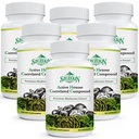 Active Hexose korelirana spojina 1500 mg dodatek, naravni 8 gob ekstrakt dodatek, imunski sistem, funkcija jeter, naravni ubijalec in T celic dejavnost, 540 Veggie kapsule
