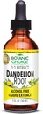 Botanična izbira Dandelion Root, Alkohol brez tekočine ekstrakt-traditionalna podpora za zdravje jeter, čiščenje toksinov, Aid Digestion-1 Fluid Ounce