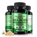 Irish Sea Moss Kapsule 120ct Raw Sea Moss Wildcrafted Bladderwrack Root Kapsules Super Food Imuno System Prebavne tablete za zdravje Morje Moss