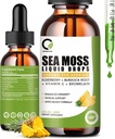 Sea Moss Drops 2000mg, Irish Sea Moss dodatek podpira Immuniteta, z Black Elderberry, Burdock Root, Bromelain, Vitamin C & cink, 2 Fl.Oz, Ananapple Flavor