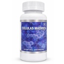 Celule Madres, pospeševalnik stemnih celic