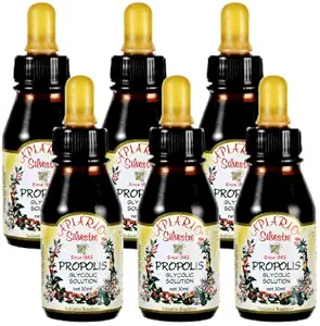Ohranjanje zdrave ravni glukoze in kardiovaskularnega zdravja - 6 steklenice vrednost Pack Brazilian Green Bee Propolis Liquid Glycolic Extra- Non Alkoholic, Vosek brez sladkorja (PG)